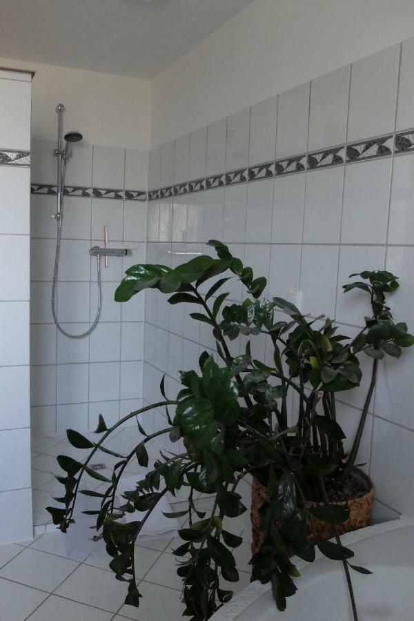 Ferienwohnung Elsa Höchst Екстериор снимка